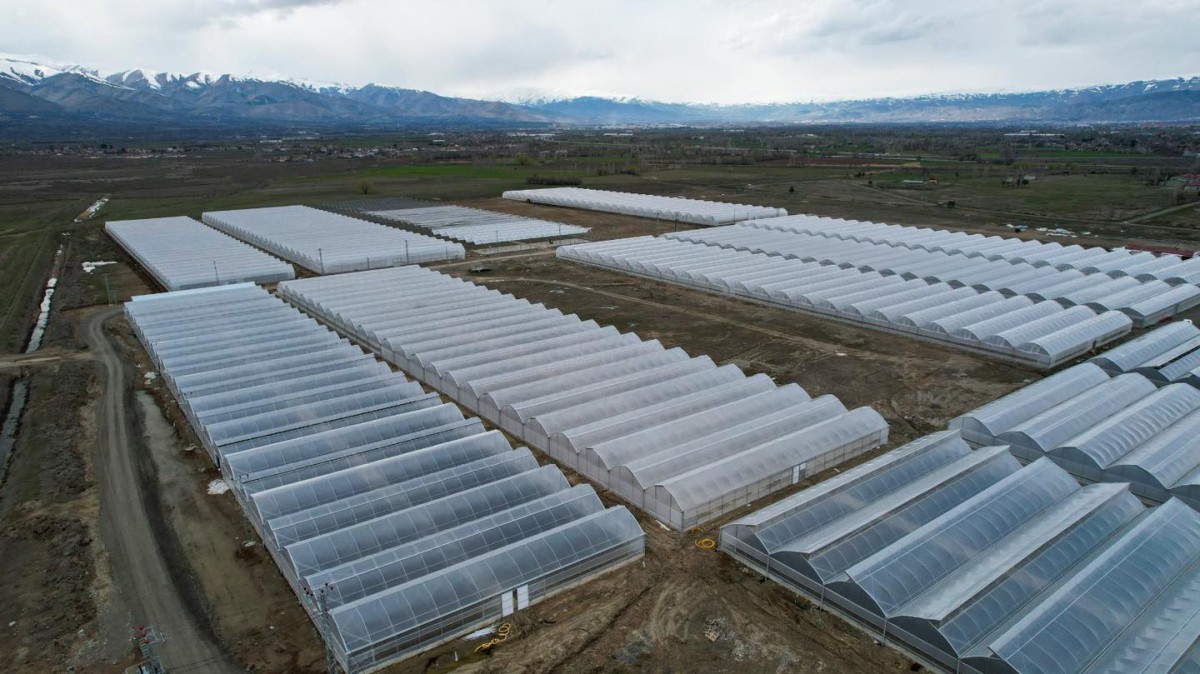 Erzincan Toplu Sera Bölgesi İstihdam Sağlayacak 