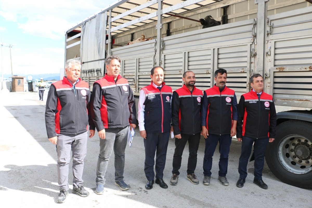 Hayvan Sevkleri Yakın Takipte