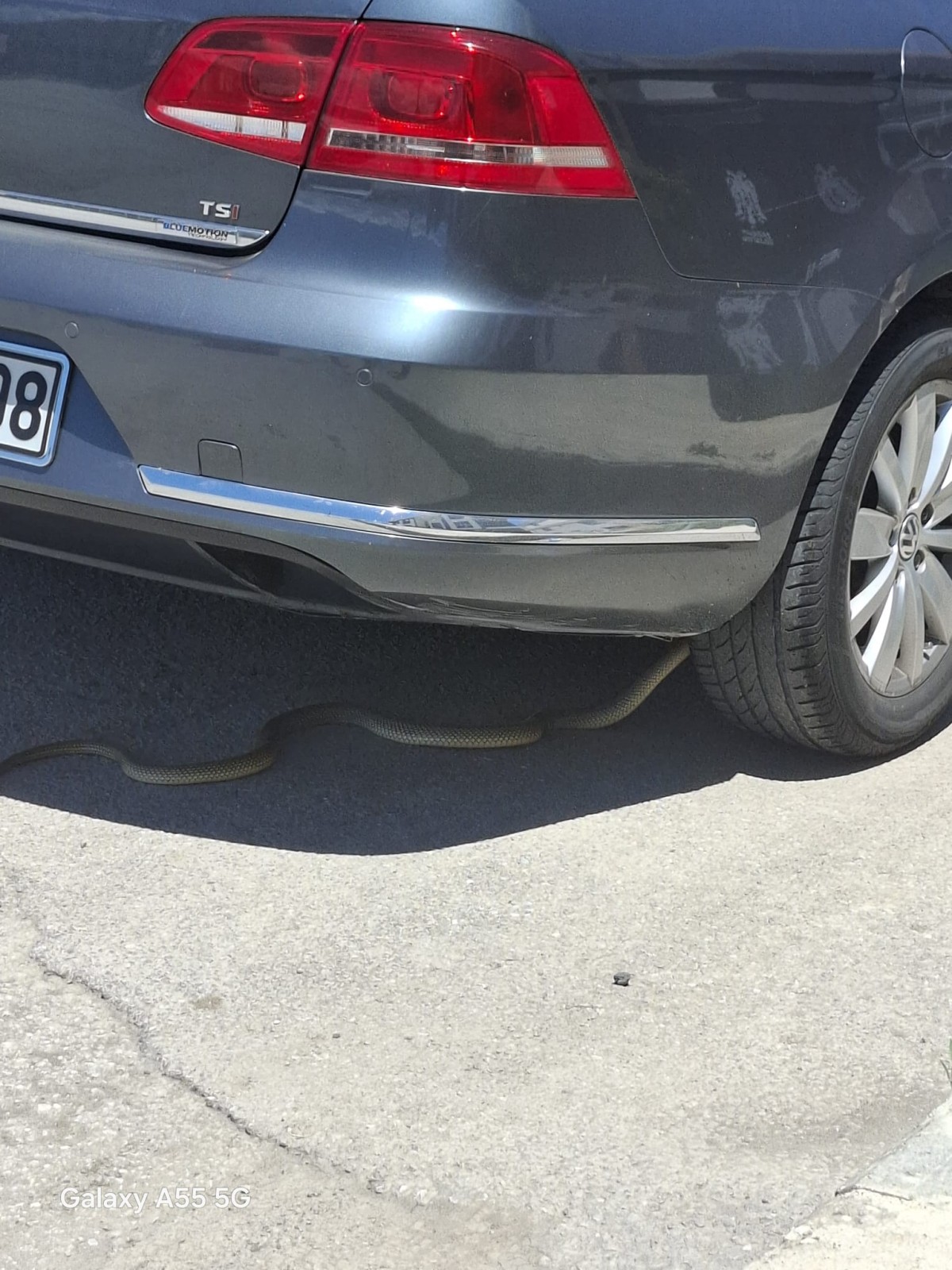 Erzincan’da İtfaiye Ekipleri Harekete Geçti