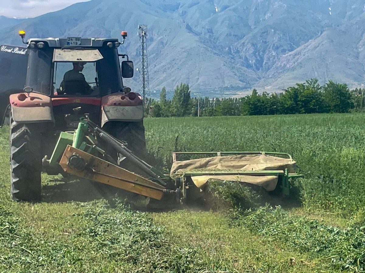 Erzincan Belediyesi 72 Dönümlük Yonca Tarlasında Hasada Başladı
