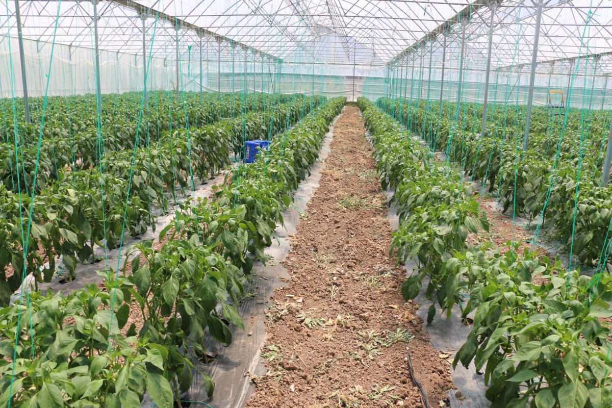 Erzincan’da  Üretim ve Çeşitlilik Artıyor