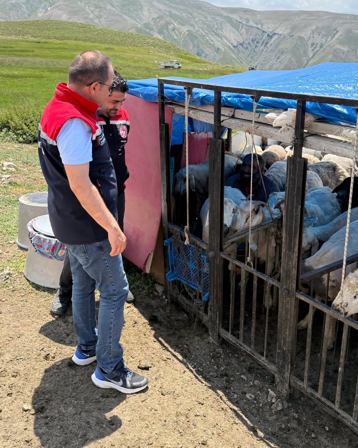 Erzincan Tulum Peyniri'nin Geleneksel Üretimi Yaylalarda Geleceğe Taşınıyor