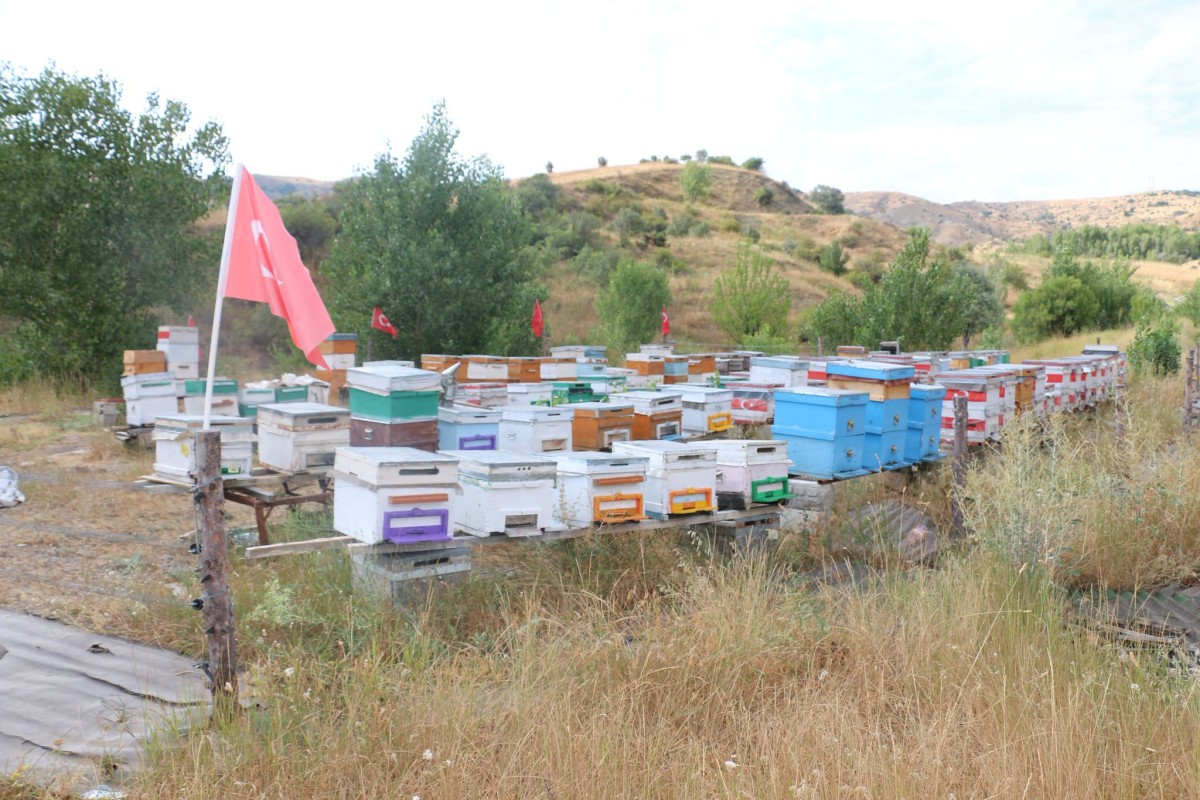 Erzincan’da Arılığa Vatan Sevgisi 