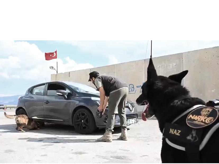Erzincan’da Narkotik Köpeği Naz Emekliye Ayrıldı