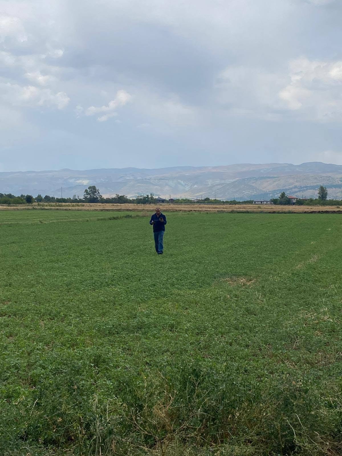 Erzincan’da Yem Bitkileri Destekleme Kontrolleri Sürüyor