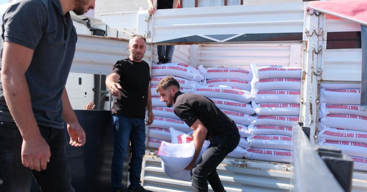 Kemaliye’de Kırmızı Mercimek Üretimi Yaygınlaşıyor