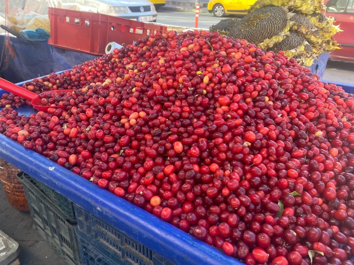 Erzincan’da Kilosu 150 TL’den Satılıyor