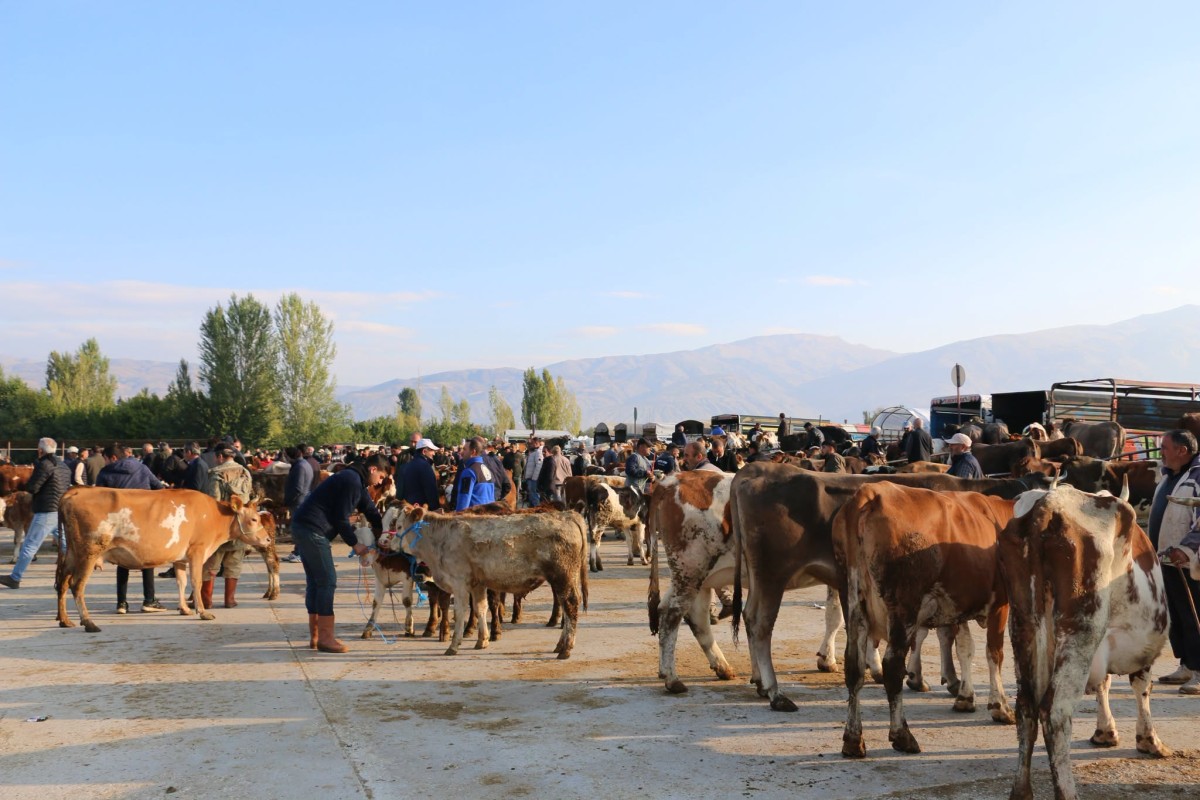 Erzincan’da Hayvan Pazarında Yetiştiricilere Şap Hastalığı Uyarısı