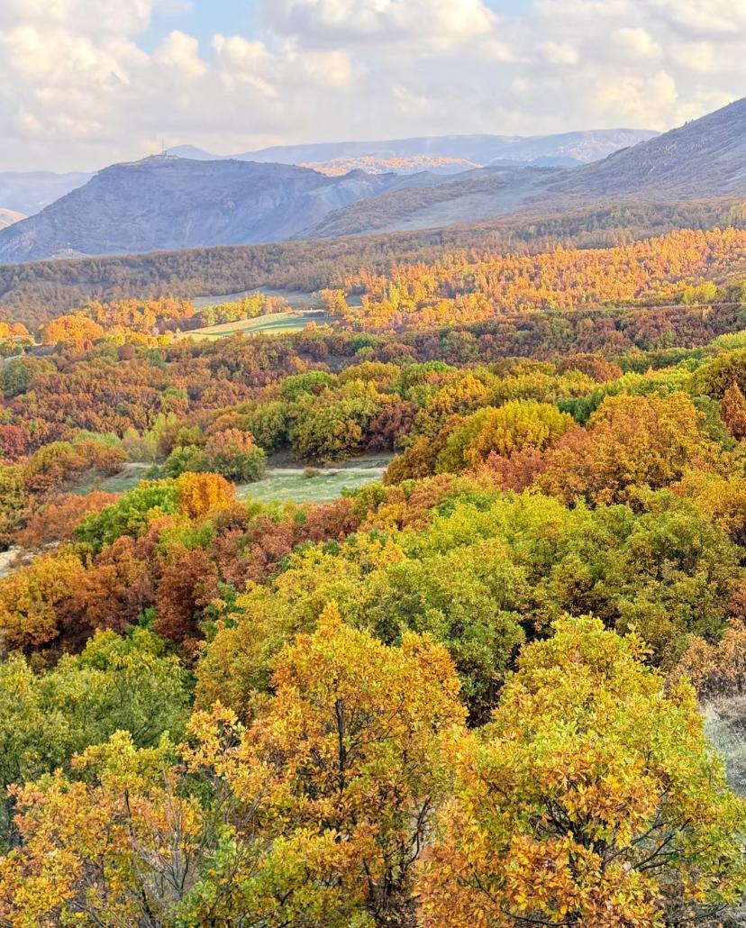 Erzincan’da Sonbahar Renkleri Doğayı Sardı