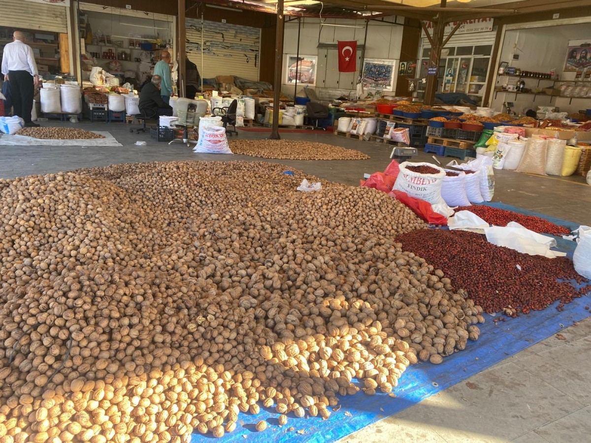 Buğday Meydanı’nda Ceviz ve Kuşburnu Mesaisi