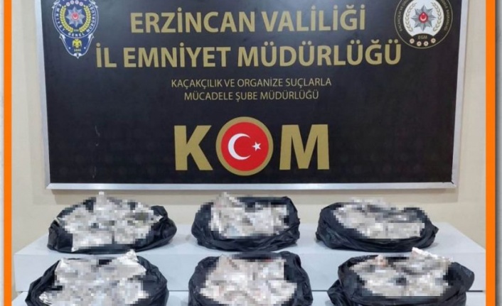 Erzincan'da 