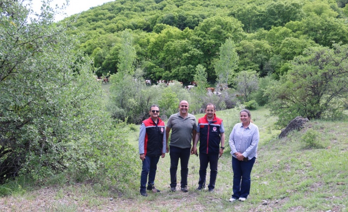 Erzincan’ da kadın muhtar, hayvancılıkta örnek oluyor