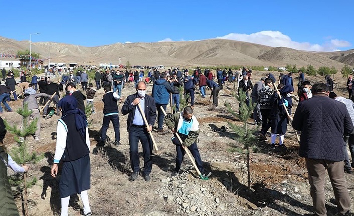 Erzincan’da 25 bin fidan toprakla buluştu