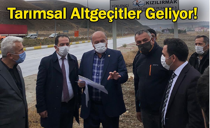 Karayolundan rahat geçmeleri için altgeçitler yapılacak