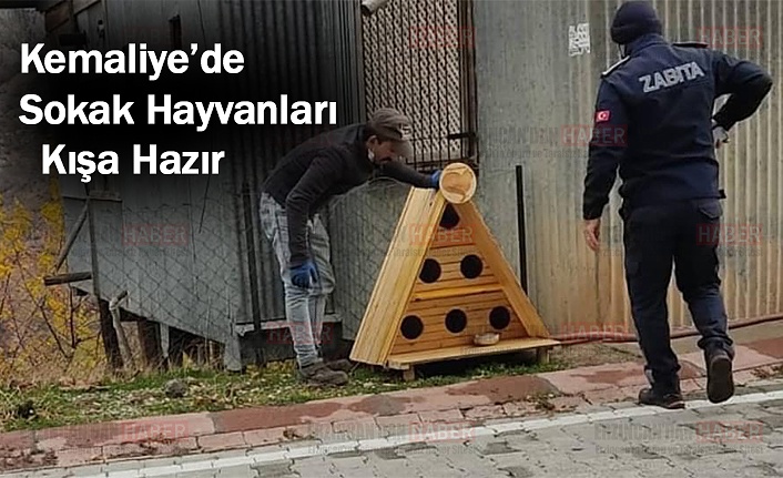 Kemaliye Belediyesi Sokak Hayvanlarını Unutmuyor