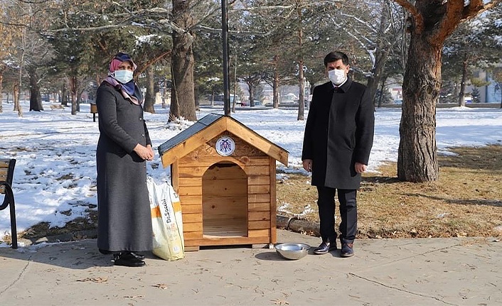 Erzincan Belediyesi’nden Sokak Hayvanlarına Kulübe