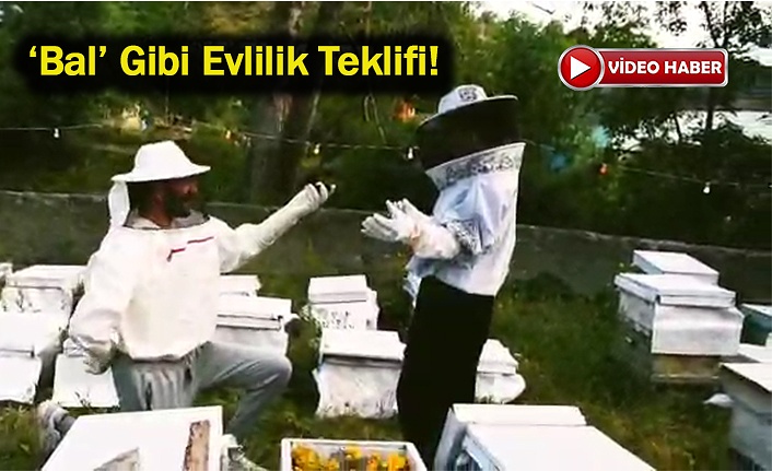 Böyle Olur Arıcının Evlenme Teklifi