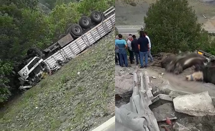 Büyükbaş hayvan yüklü TIR devrildi; 1 ölü