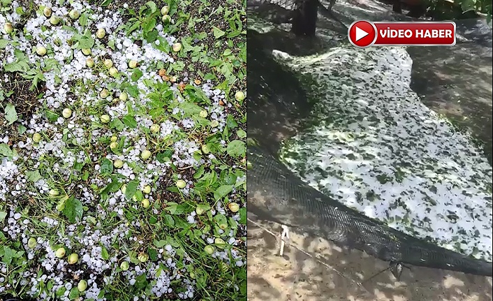 Dolu, bahçelere zarar verdi