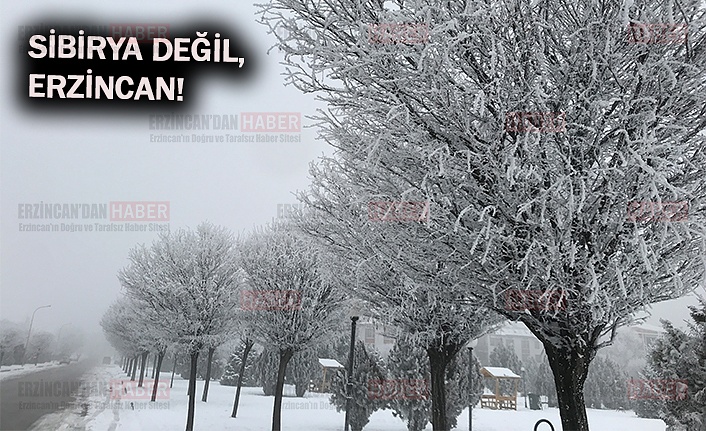 Erzincan Buz Tuttu!