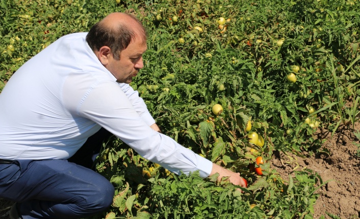 Şahin, Erzincan'da toplam 20  bin 97 işletme mevcut