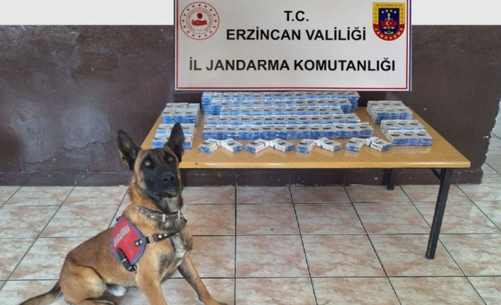 Erzincan İl Jandarma Komutanlığı Çalışmalarını Paylaştı