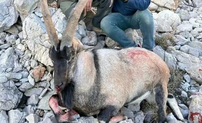 Erzincan’da kaçak avcılara rekor ceza