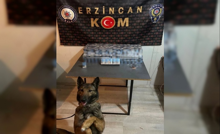 Erzincan’da 570 paket gümrük kaçağı sigara ele geçirildi