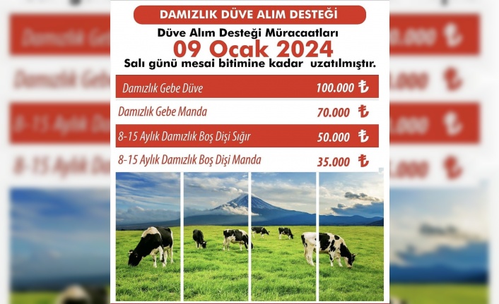 Erzincanlıların Dikkatine! Destek Başvuruları Uzatıldı