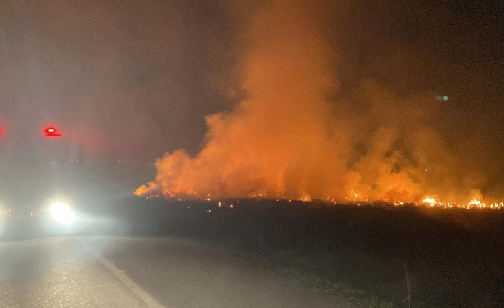 Erzincan’da örtü yangını