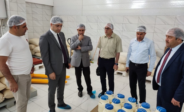Tulum Peynirleri soğuk hava depolarında bekleme süresini dolduruyor