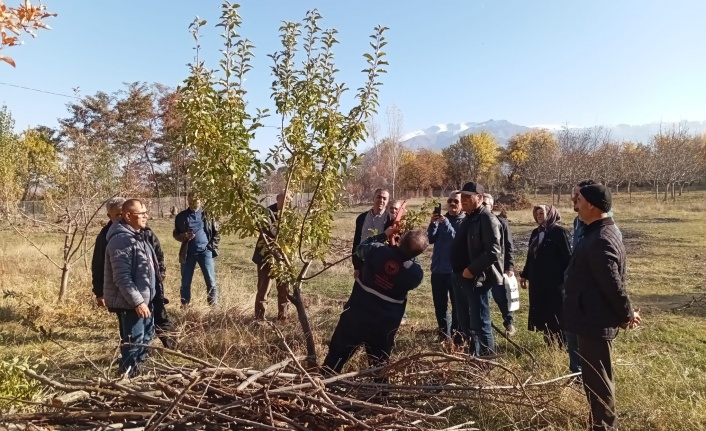 Erzincan'da teorik ve pratik ağaç budama eğitimleri veriliyor
