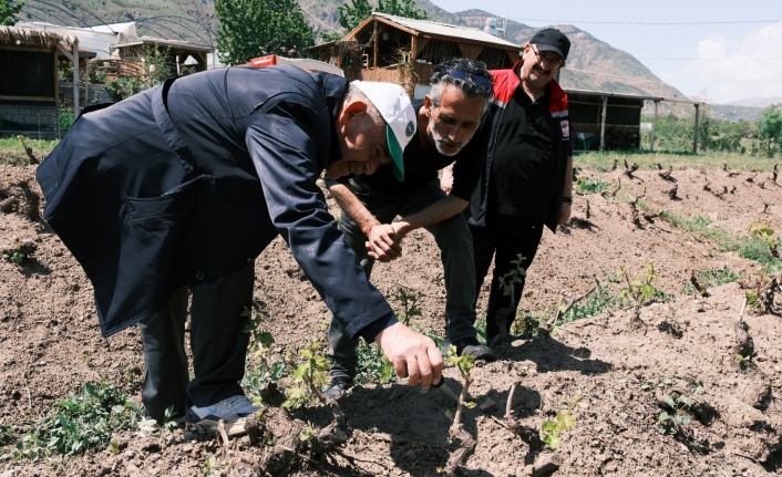 Erzincan’da Bağlarda Yoğun Denetim