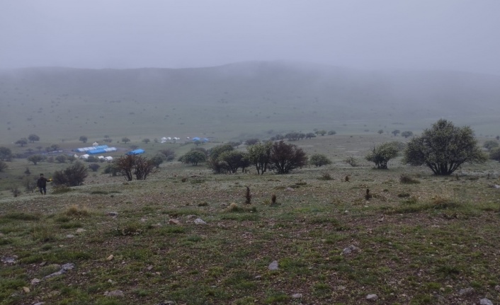 Erzincan’da kurtlar gece saatlerinde kuzulara saldırdı