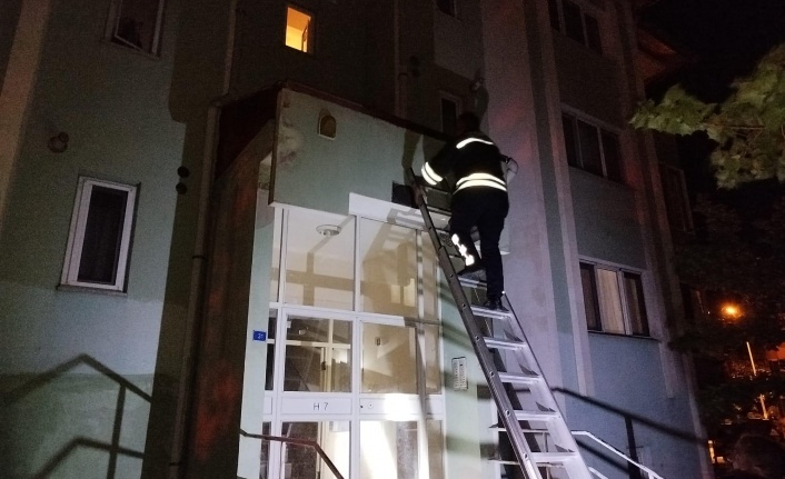 Erzincan’da Sundurmada Mahsur Kalan Kedi Kurtarıldı