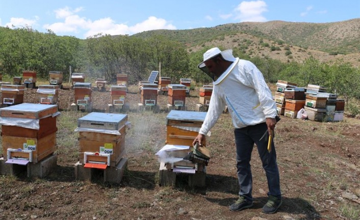 Erzincan’ın arıcılık potansiyeli ve tescilli lezzetleri