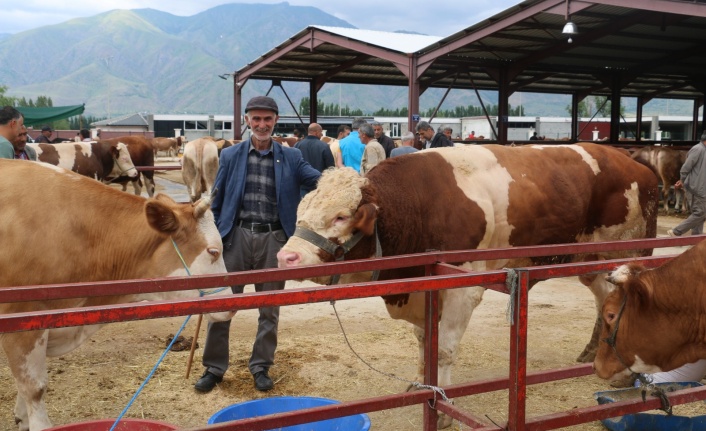 Erzincan hayvan pazarında kurban bayram yoğunluğu