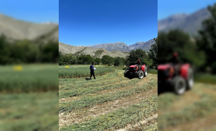 Erzincan son yıllarda yem bitkisi ekilişi alanlarında artış görünüyor