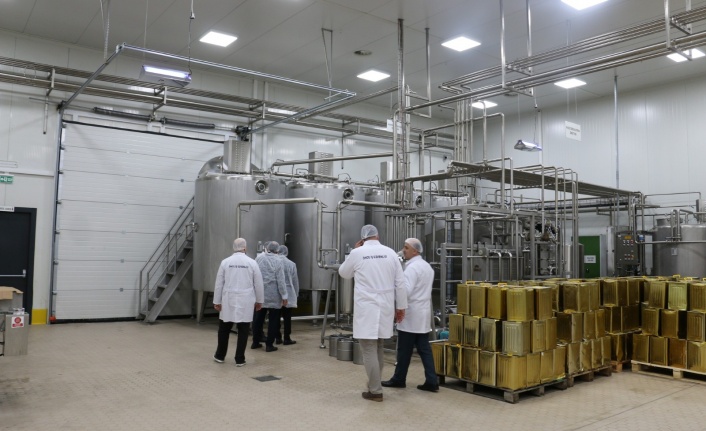 Erzincan’da ayda 200 ton bal işleniyor