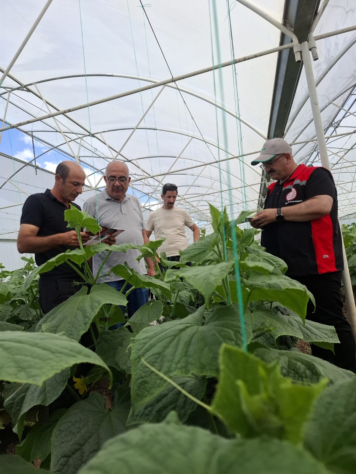 Erzincan’da Pestisit Kontrolleri Sıkılaştırıldı