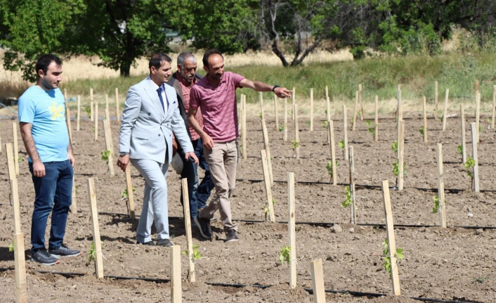 Erzincan’da uzun yıllar süren çalışmaların ardından tescil ettiriliyor