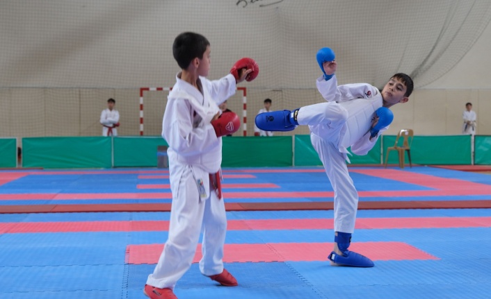 Karate Heyecanı Erzincan'da başladı