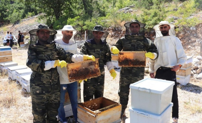 Doğal Kekik ve Geven Aromalı Ballar Tezgâhlara İniyor