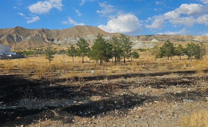 Erzincan'da Korkutan Arazi Yangını