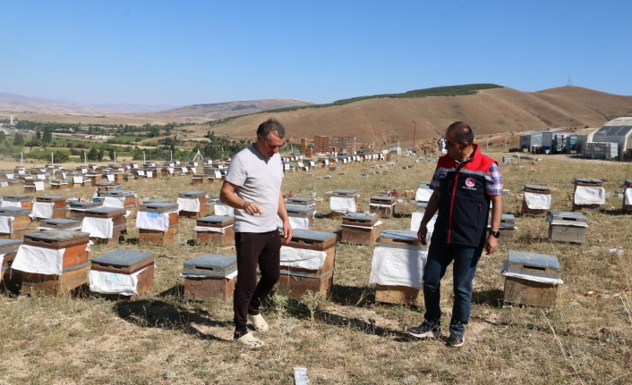 Erzincan’da bin 200 kovanıyla üretime destek sağlıyor