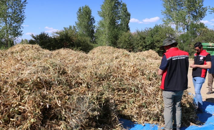 Erzincan’da  harman zamanı