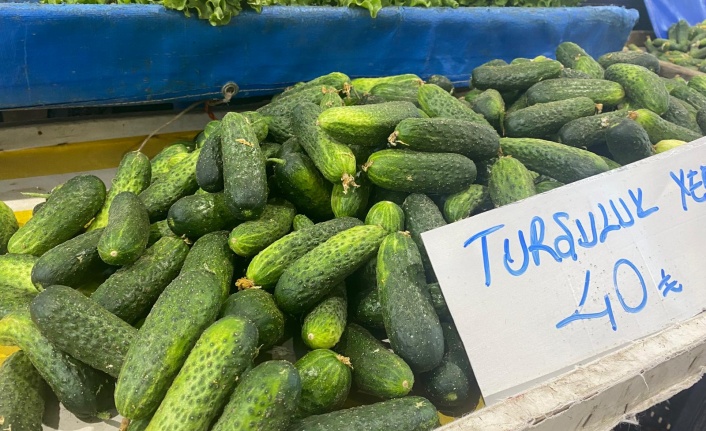 Erzincan’da Kışa Hazırlık Telaşı