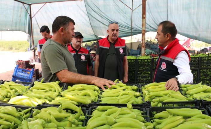 Erzincan’da en çok fide diken çiftçi oldu