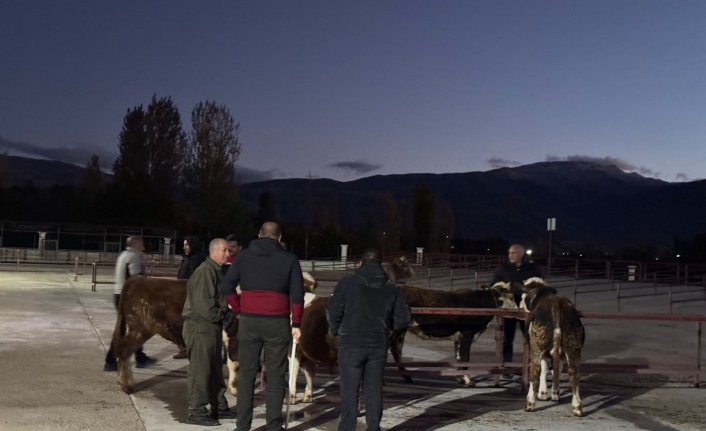 Kapılarını yeniden yetiştiricilere açtı