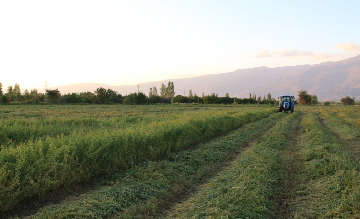 ÇKS Başvuruları 31 Aralık’ta Sona Eriyor